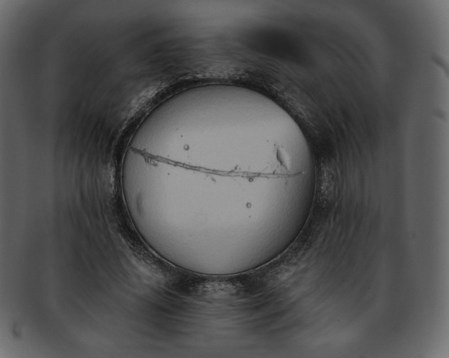 X0000093380636200710191135