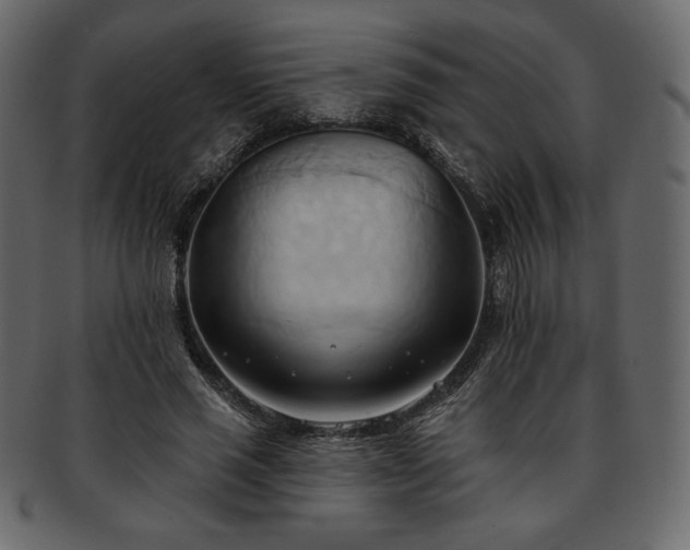 X0000093380637200710191135