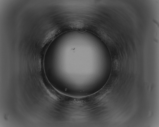 X0000093380638200710191135