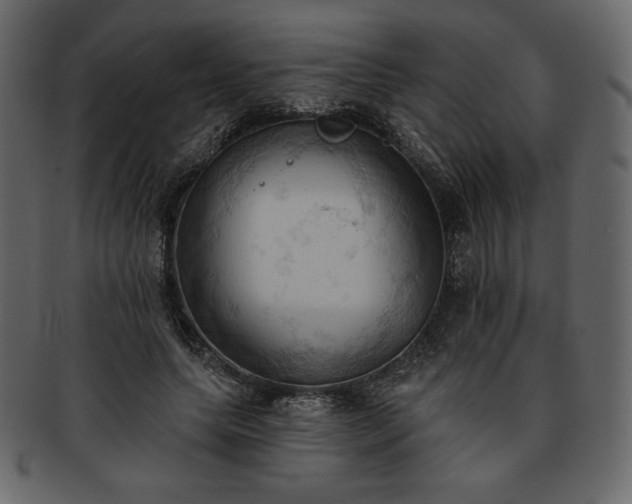 X0000093380639200710191135