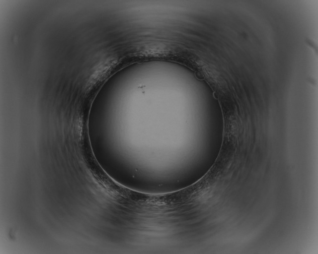 X0000093380640200710191135