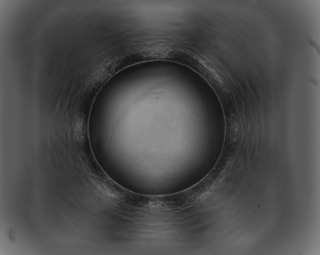 X0000093380641200710191135