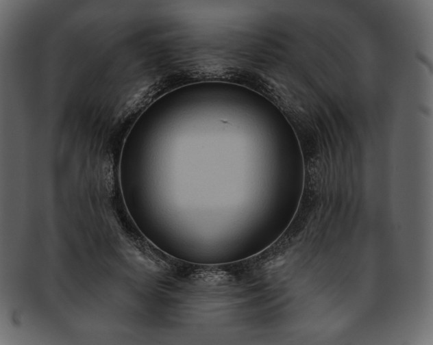 X0000093380642200710191135