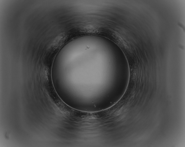 X0000093380643200710191135