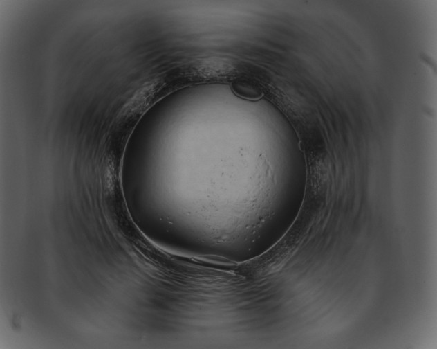 X0000093380644200710191135