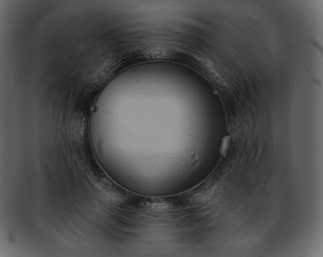 X0000093380645200710191135