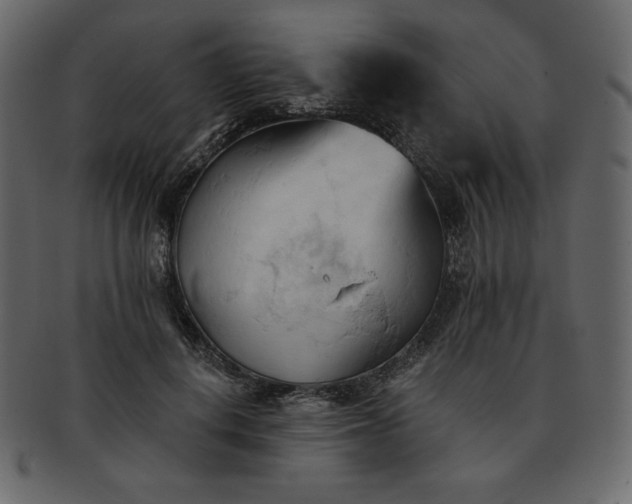 X0000093380648200710191135