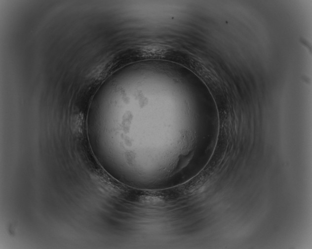 X0000093380649200710191135