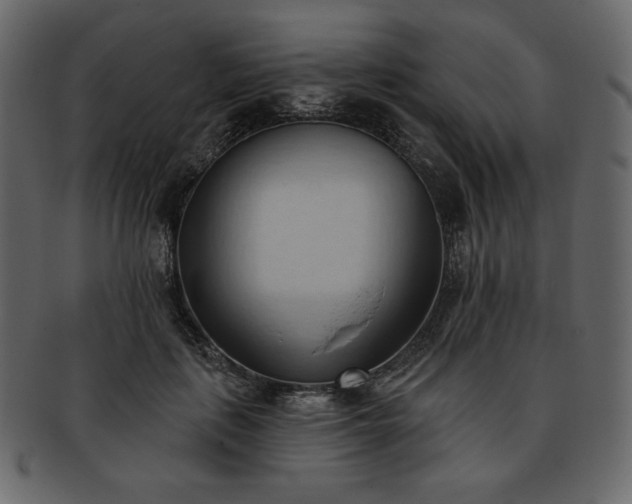 X0000093380651200710191135