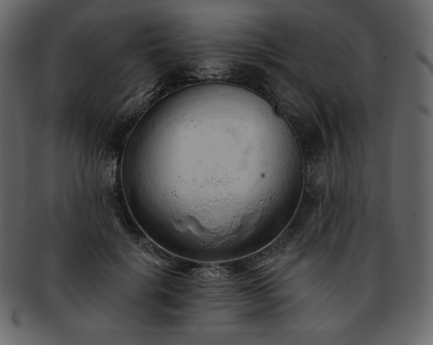 X0000093380652200710191135