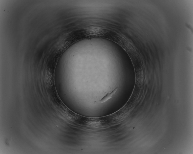 X0000093380653200710191135