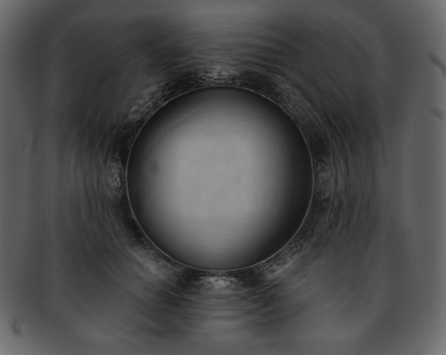 X0000093380654200710191135