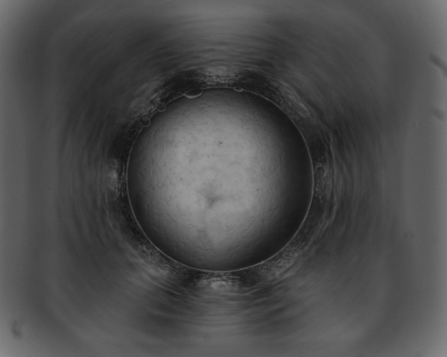 X0000093380655200710191135