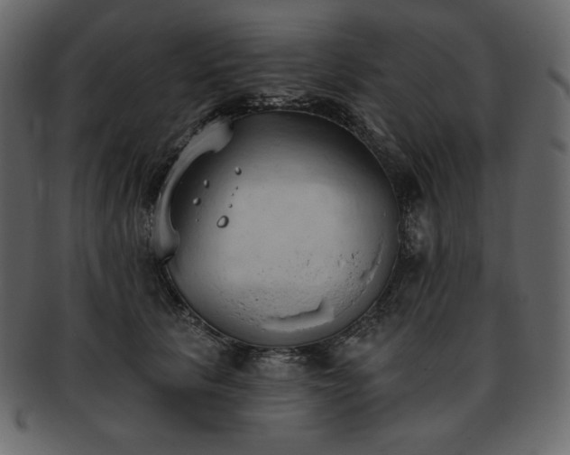 X0000093380657200710191135