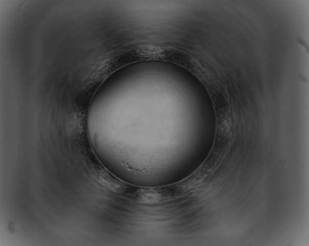 X0000093380658200710191135