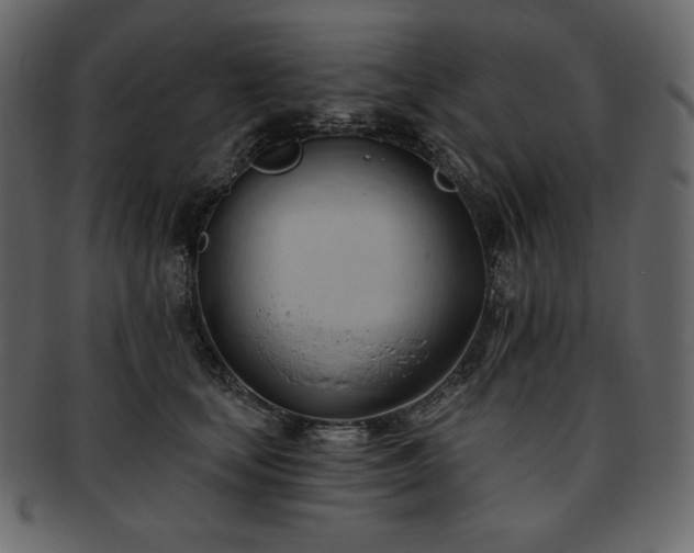 X0000093380659200710191135