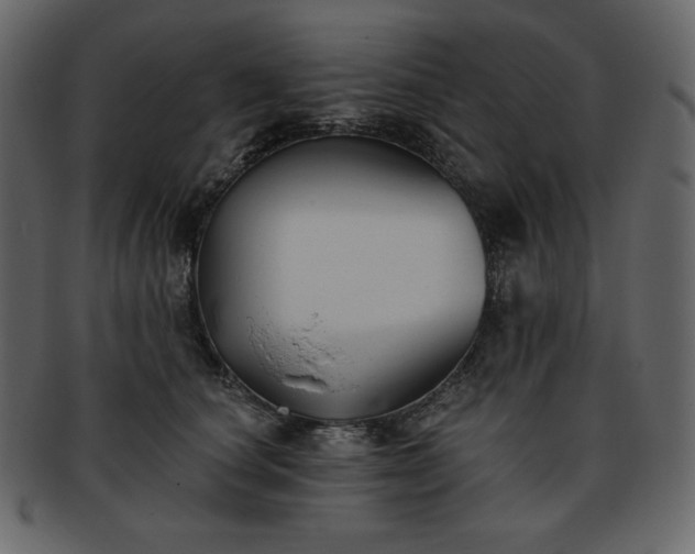 X0000093380660200710191135