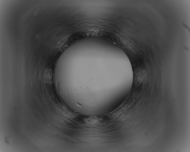 X0000093380661200710191135