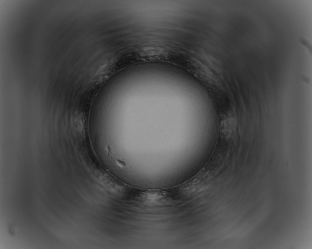 X0000093380662200710191135