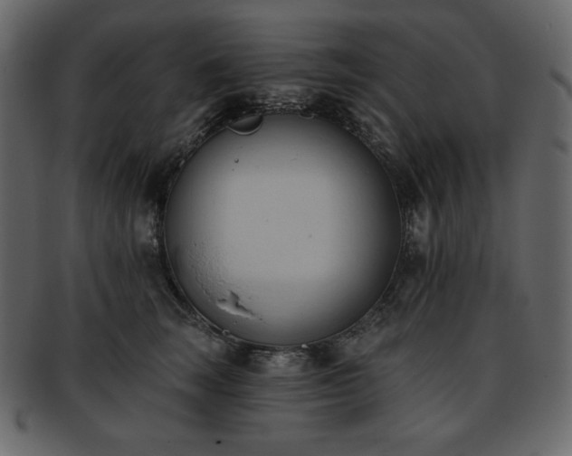 X0000093380663200710191135