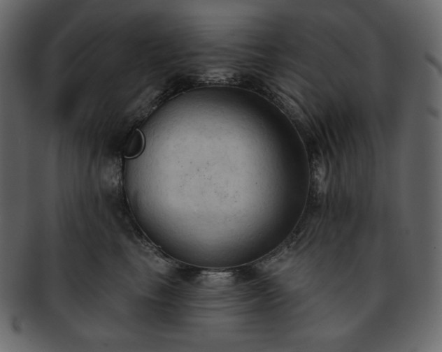 X0000093380665200710191136