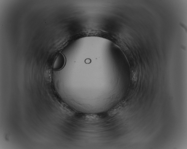 X0000093380666200710191136