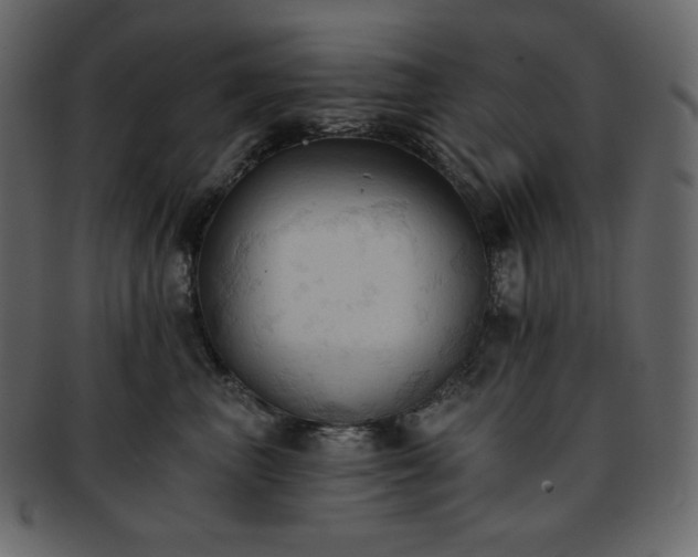 X0000093380667200710191136