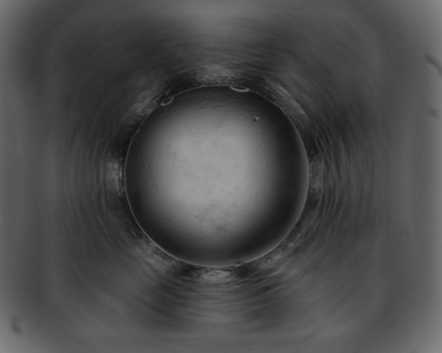 X0000093380669200710191136