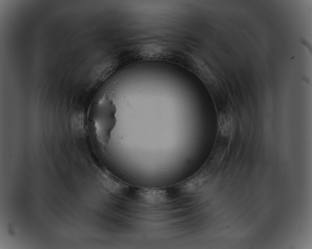 X0000093380670200710191136