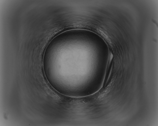 X0000093380673200710191135