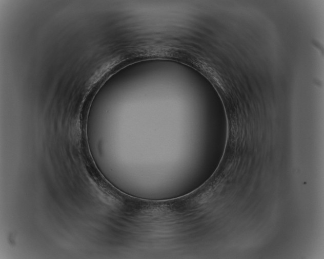 X0000093380674200710191135