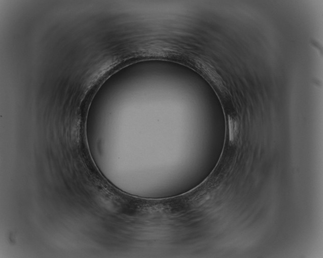 X0000093380675200710191135