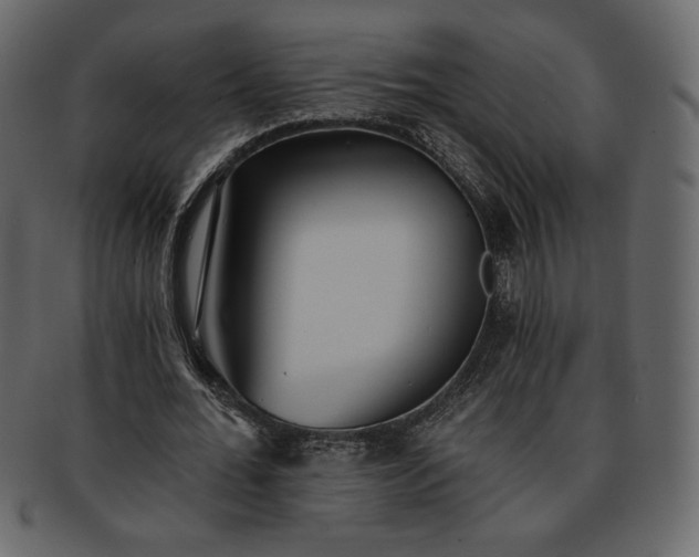 X0000093380676200710191135