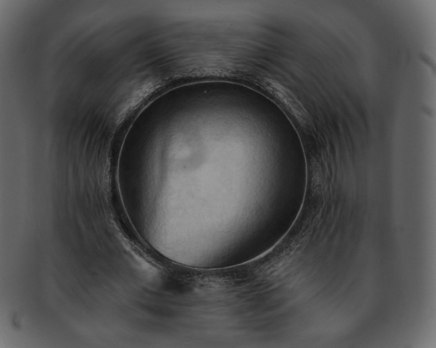 X0000093380677200710191135