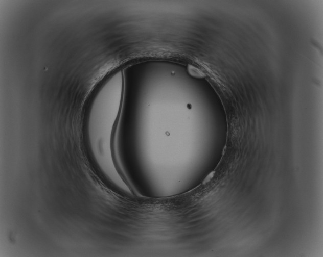 X0000093380679200710191135