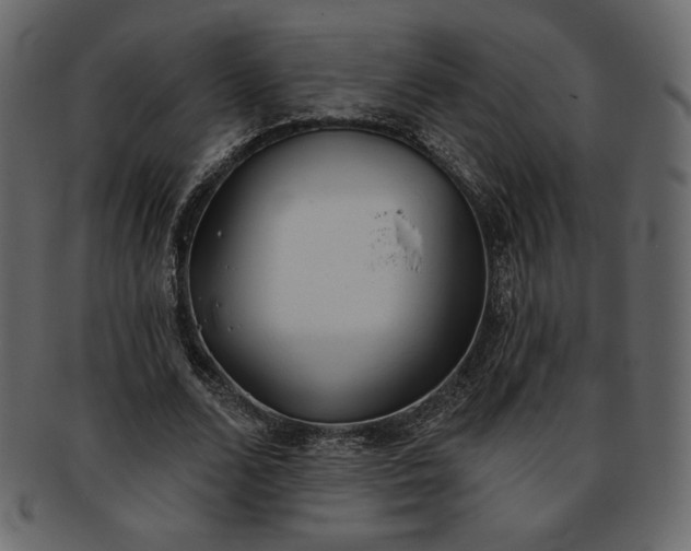 X0000093380680200710191135