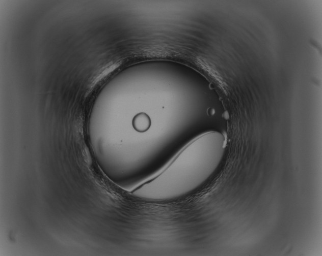 X0000093380681200710191135