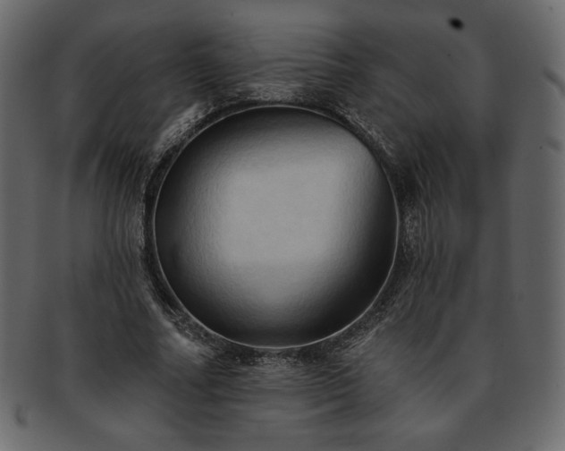 X0000093380682200710191135