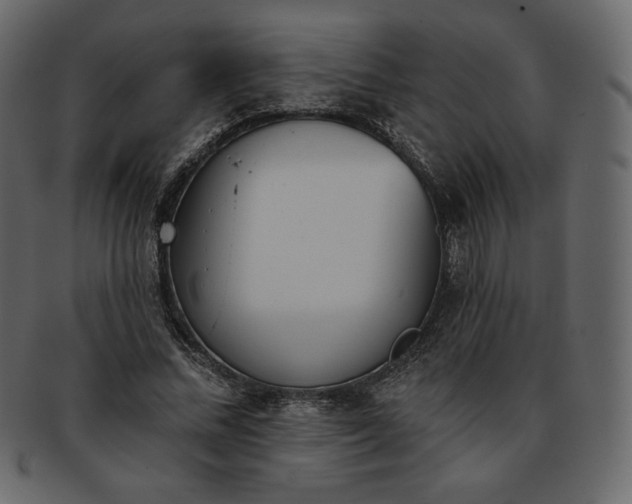 X0000093380684200710191135