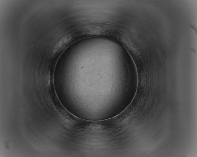 X0000093380685200710191135