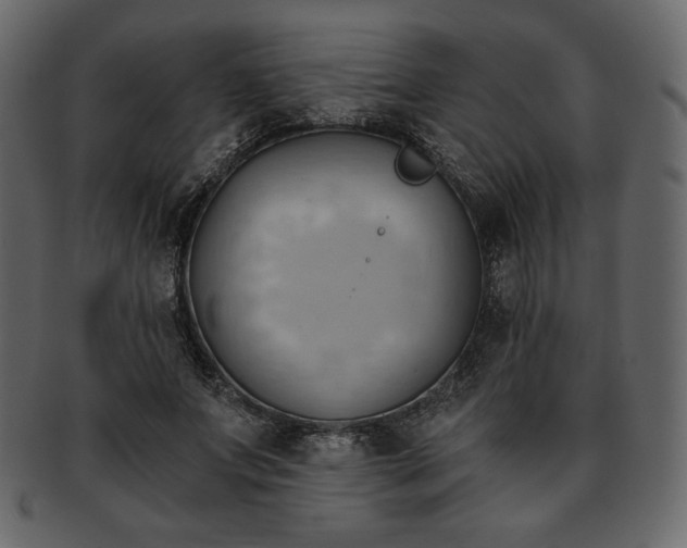 X0000093380687200710191135