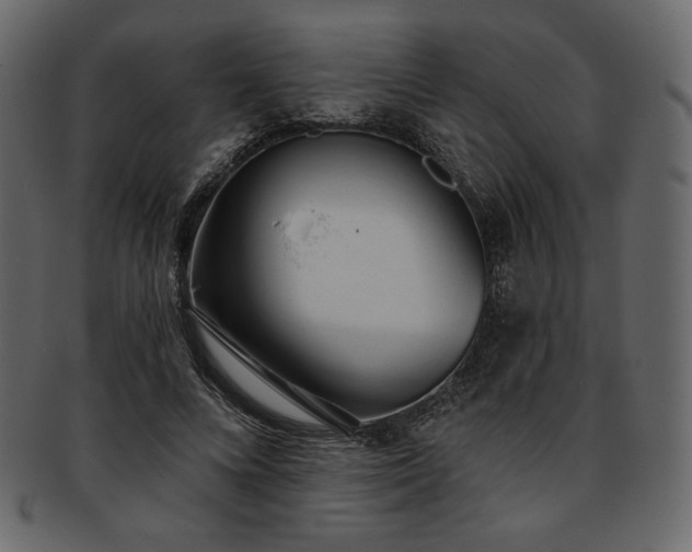 X0000093380688200710191135