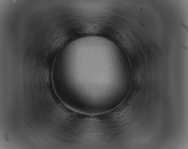 X0000093380689200710191135