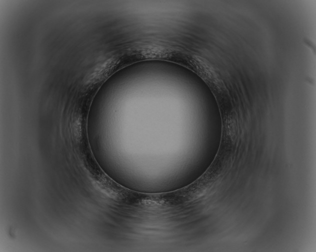 X0000093380690200710191135