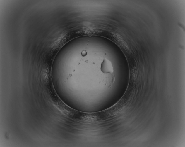 X0000093380691200710191135