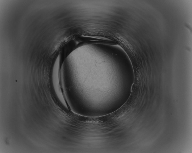 X0000093380693200710191135