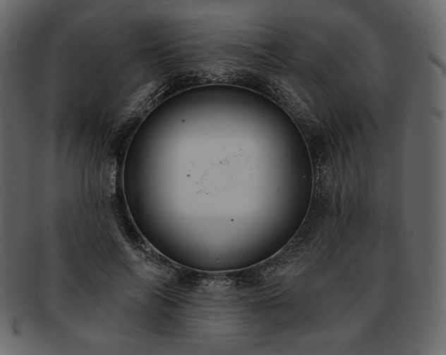 X0000093380694200710191135