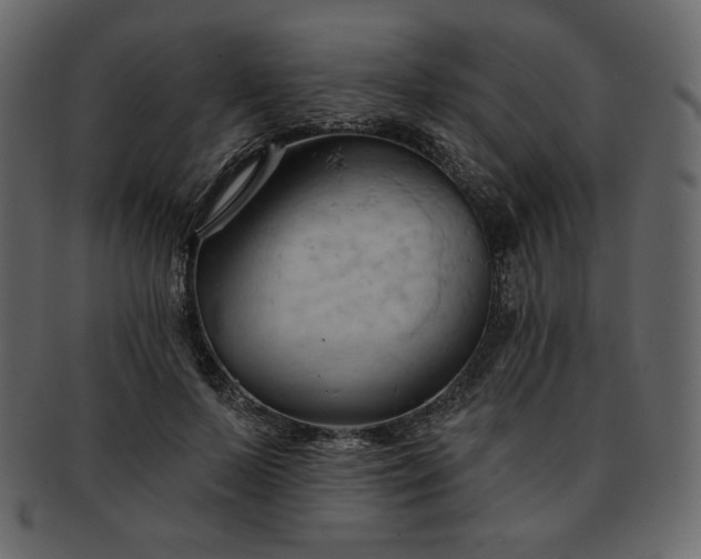 X0000093380695200710191135