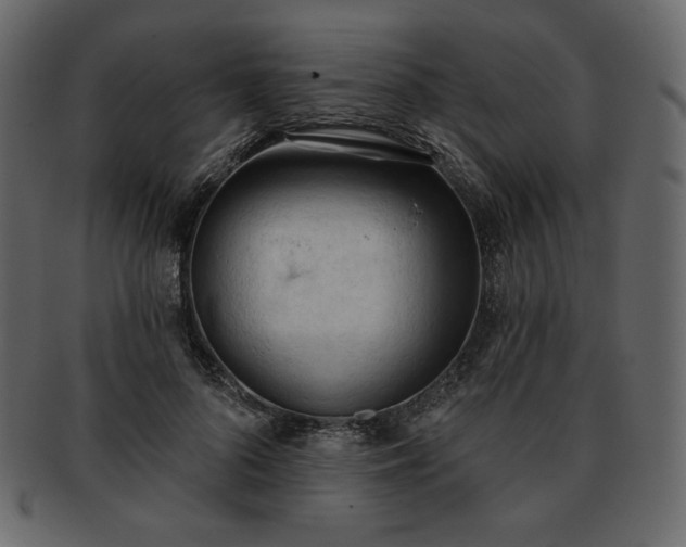 X0000093380696200710191135