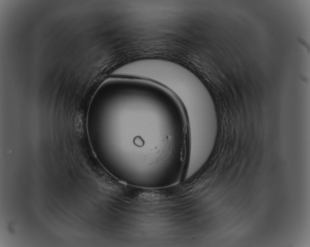 X0000093380699200710191135